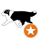 Jonna Turunen Jonna Turunen